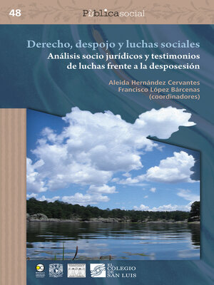 cover image of Derecho, despojo y luchas sociales